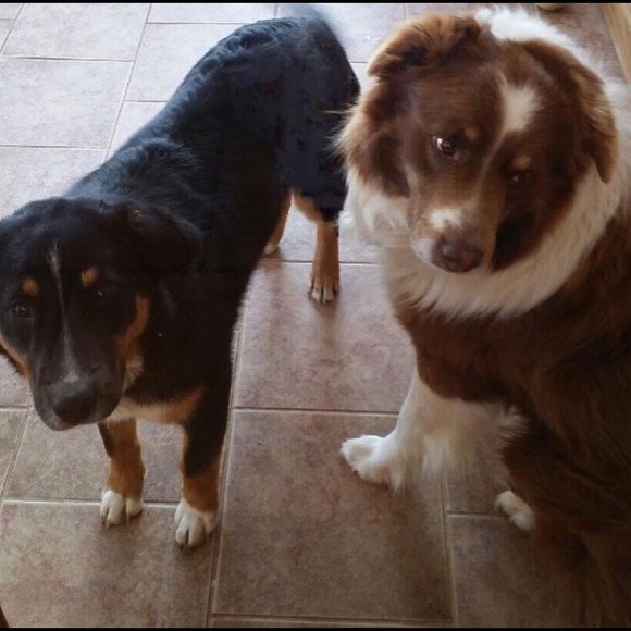 Meet your Posher, Sarah - Picture 2 of 3